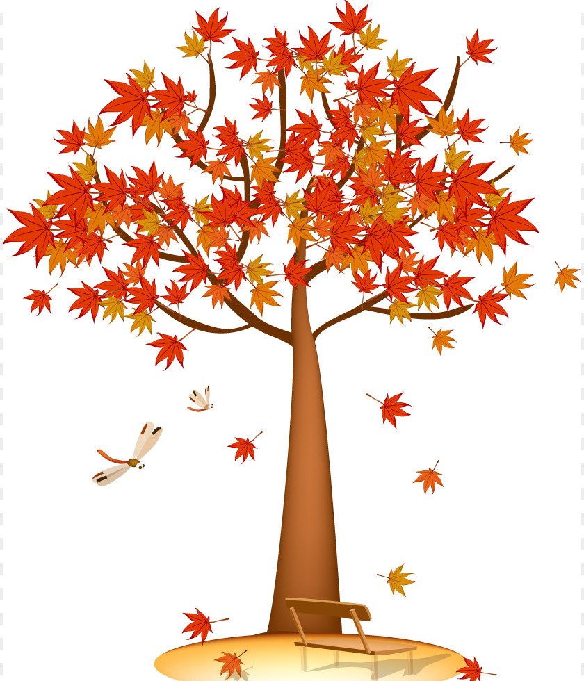 Tree Maple Leaf PNG