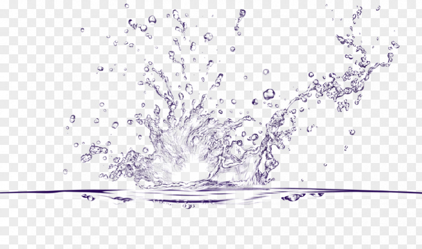 Beau Vector Psd Water Graphics PNG