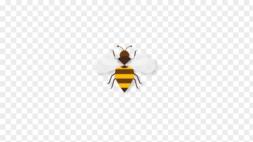 Bee Honey Text Illustration PNG