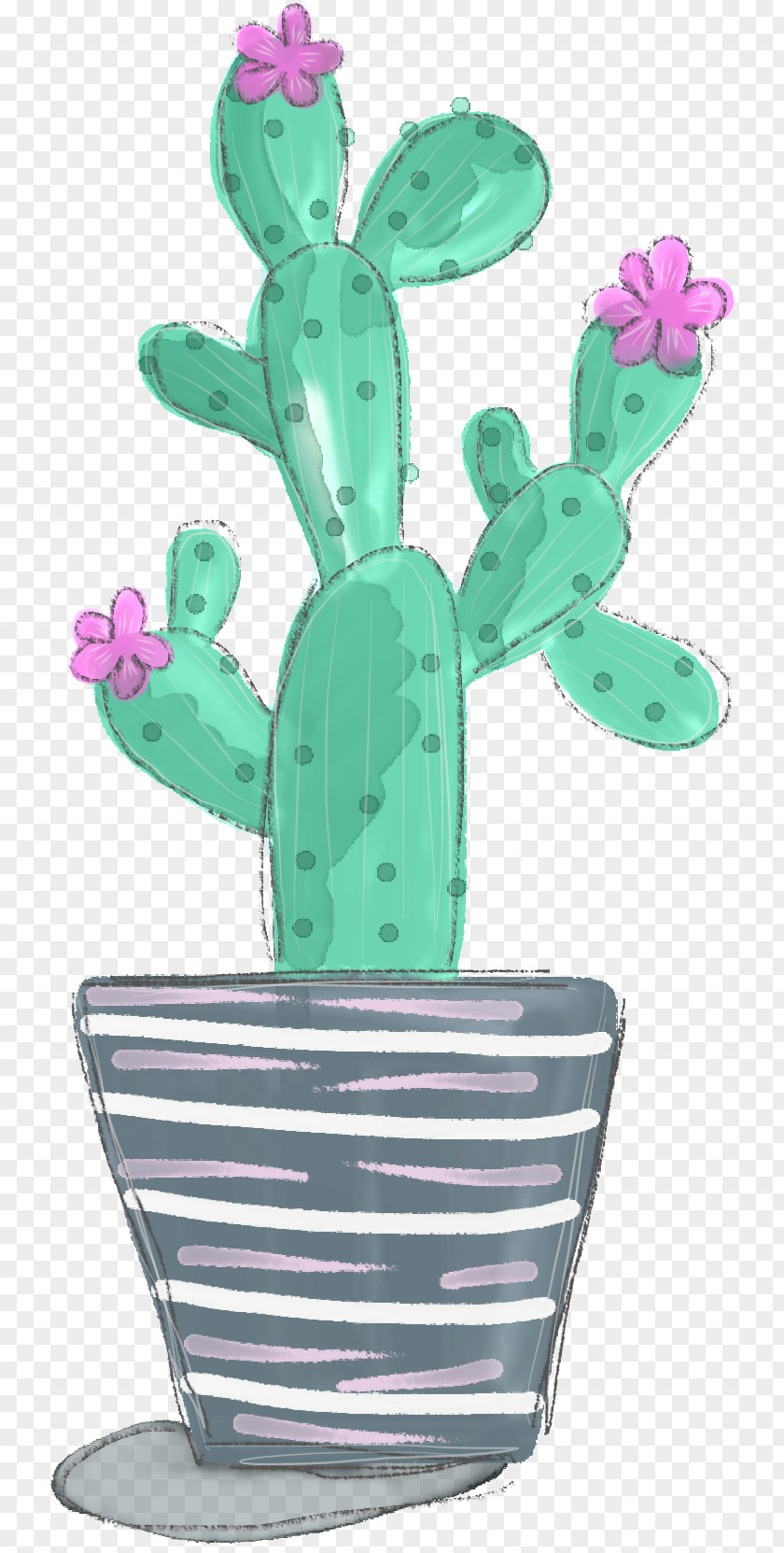 Cactus Cactaceae Flowering Plant Instagram PNG