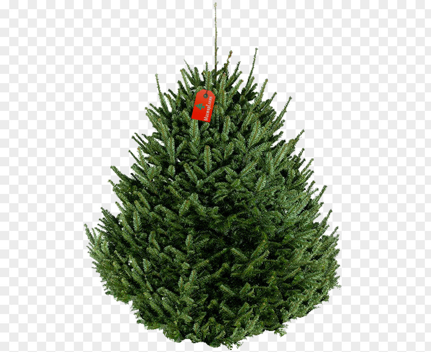 Decorative Trees Fraser Fir Artificial Christmas Tree New Year PNG