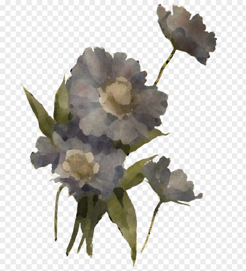 Floral Design PNG