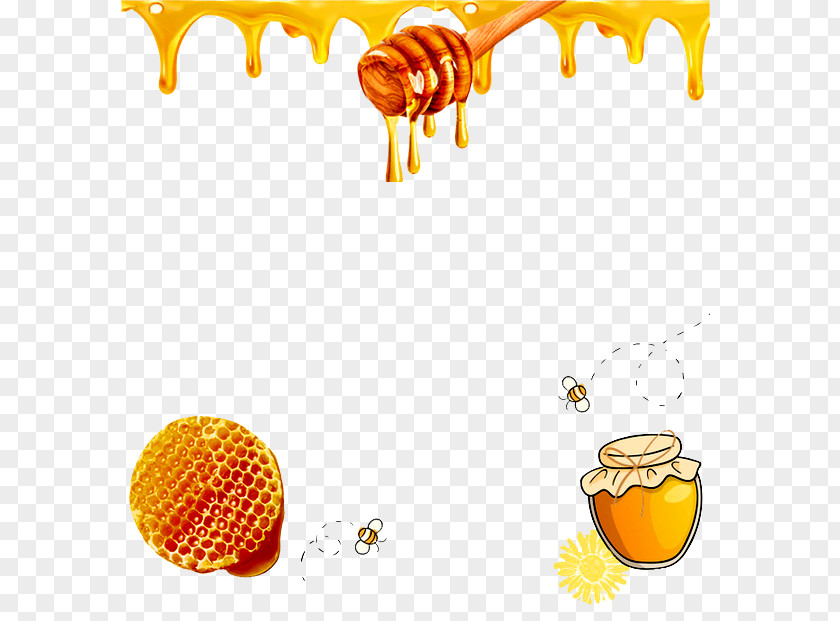 Honey Honeycomb Honeypot Bee PNG