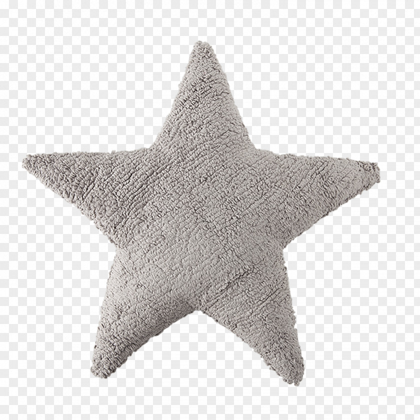 Light Star Cushion Carpet Throw Pillows PNG