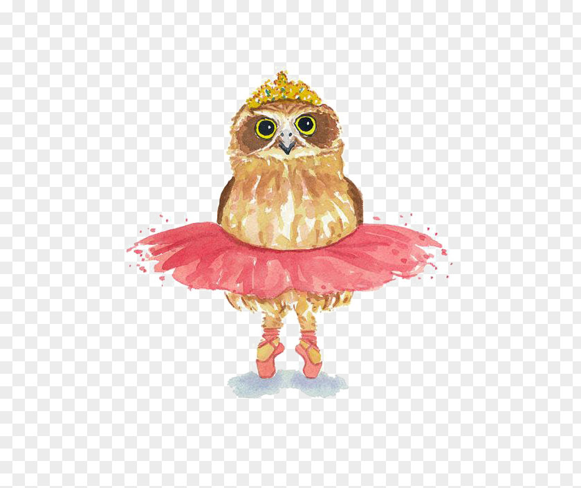 Owl T-shirt Ballet Dancer Watercolor Painting PNG