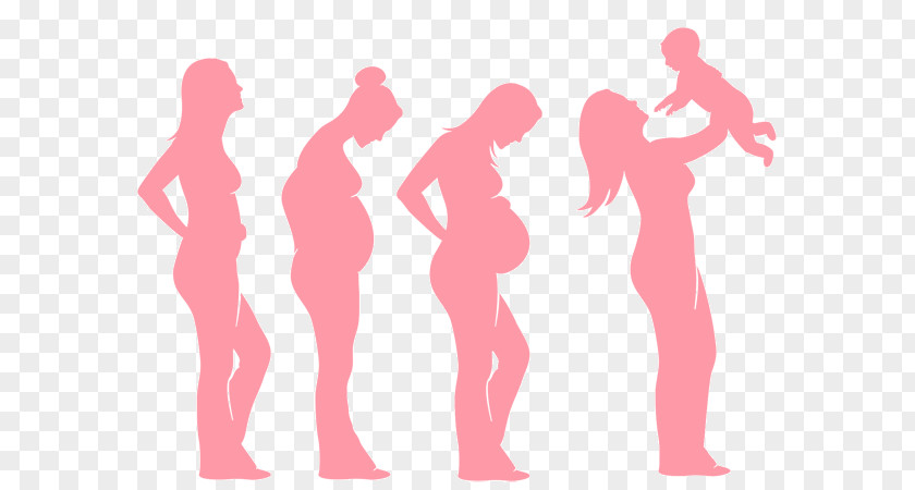 Pregnancy Childbirth Infant Family PNG