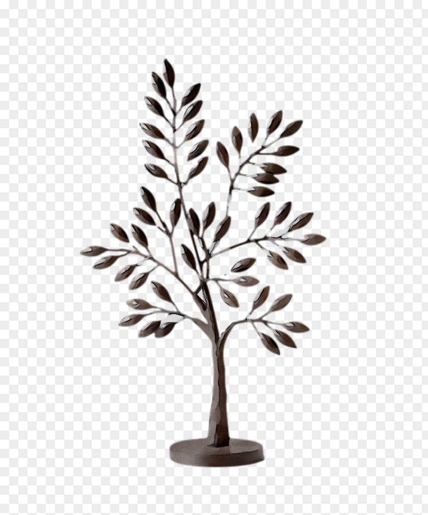 Twig Plant Stem Leaf Plants PNG