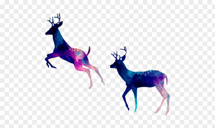 Deer White-tailed Reindeer Desktop Wallpaper Rudolph PNG