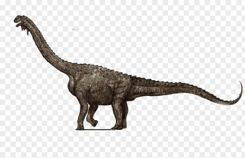 Dinosaur Aegyptosaurus Alamosaurus Teratophoneus Australovenator Triceratops PNG