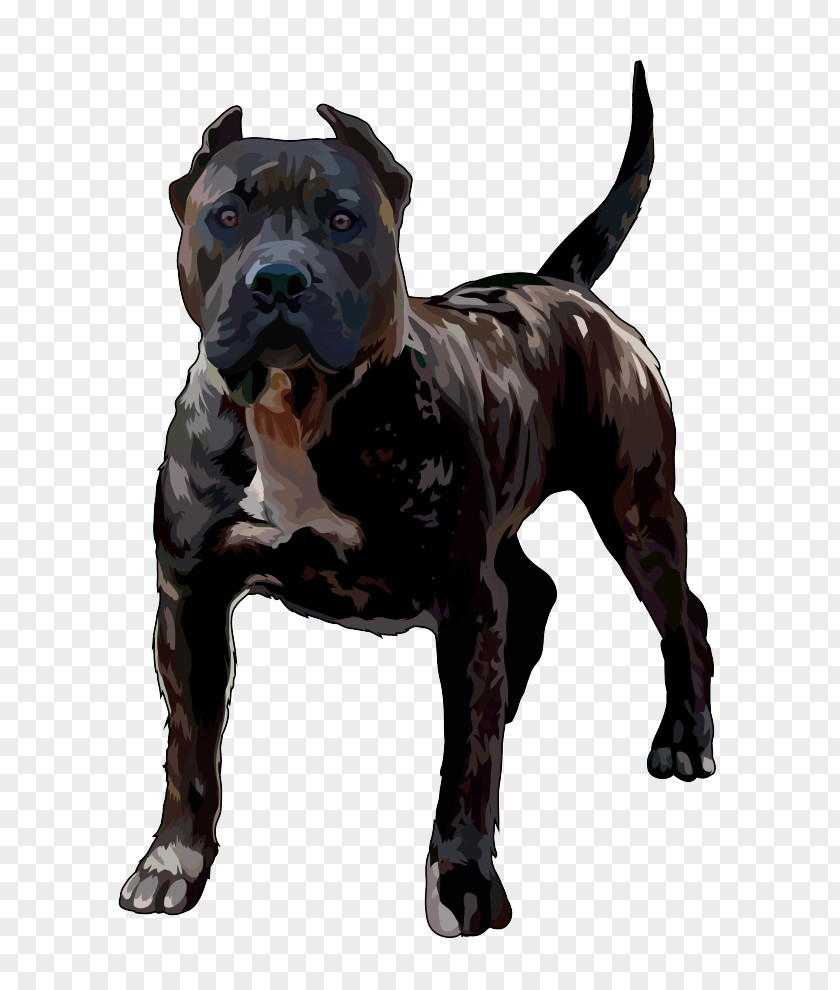 Dog Breed Perro De Presa Canario American Pit Bull Terrier Chihuahua A Pelo Corto PNG