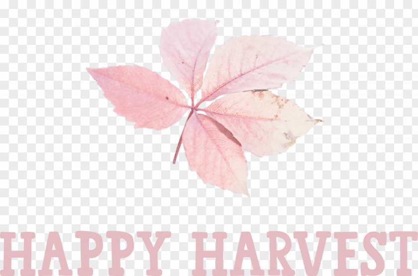 Happy Harvest Harvest Time PNG