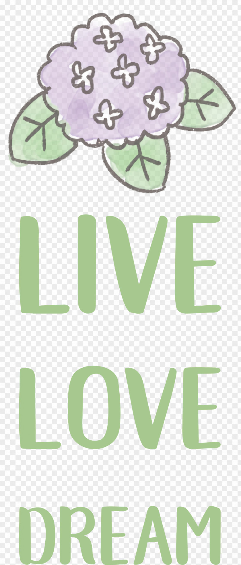 Live Love Dream PNG