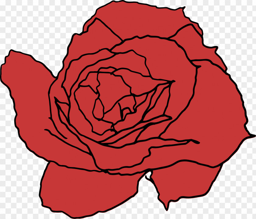 Rose Vector Garden Roses Line Art Drawing Clip PNG