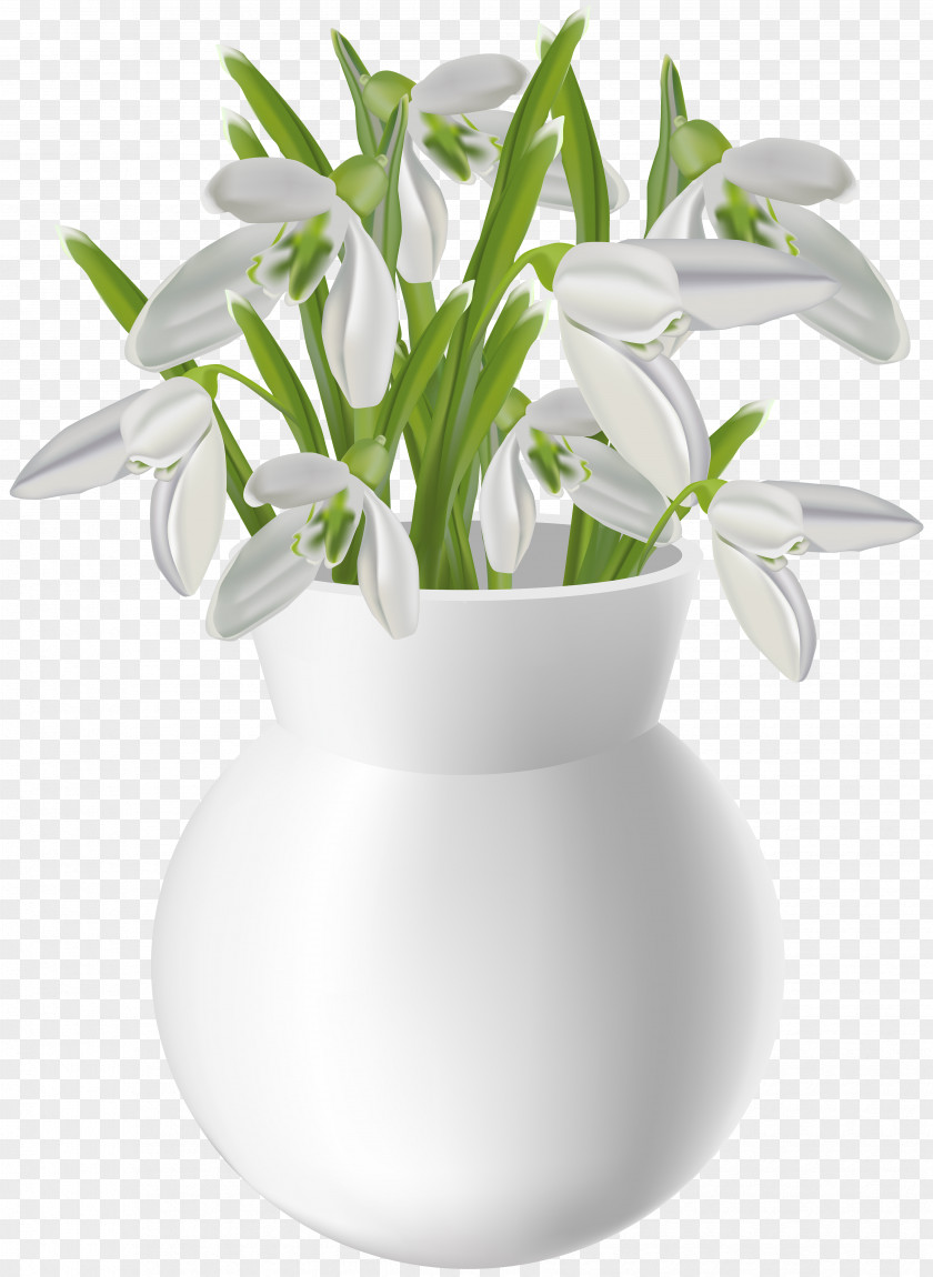 Vase With Snowdrops Transparent Clip Art Image PNG