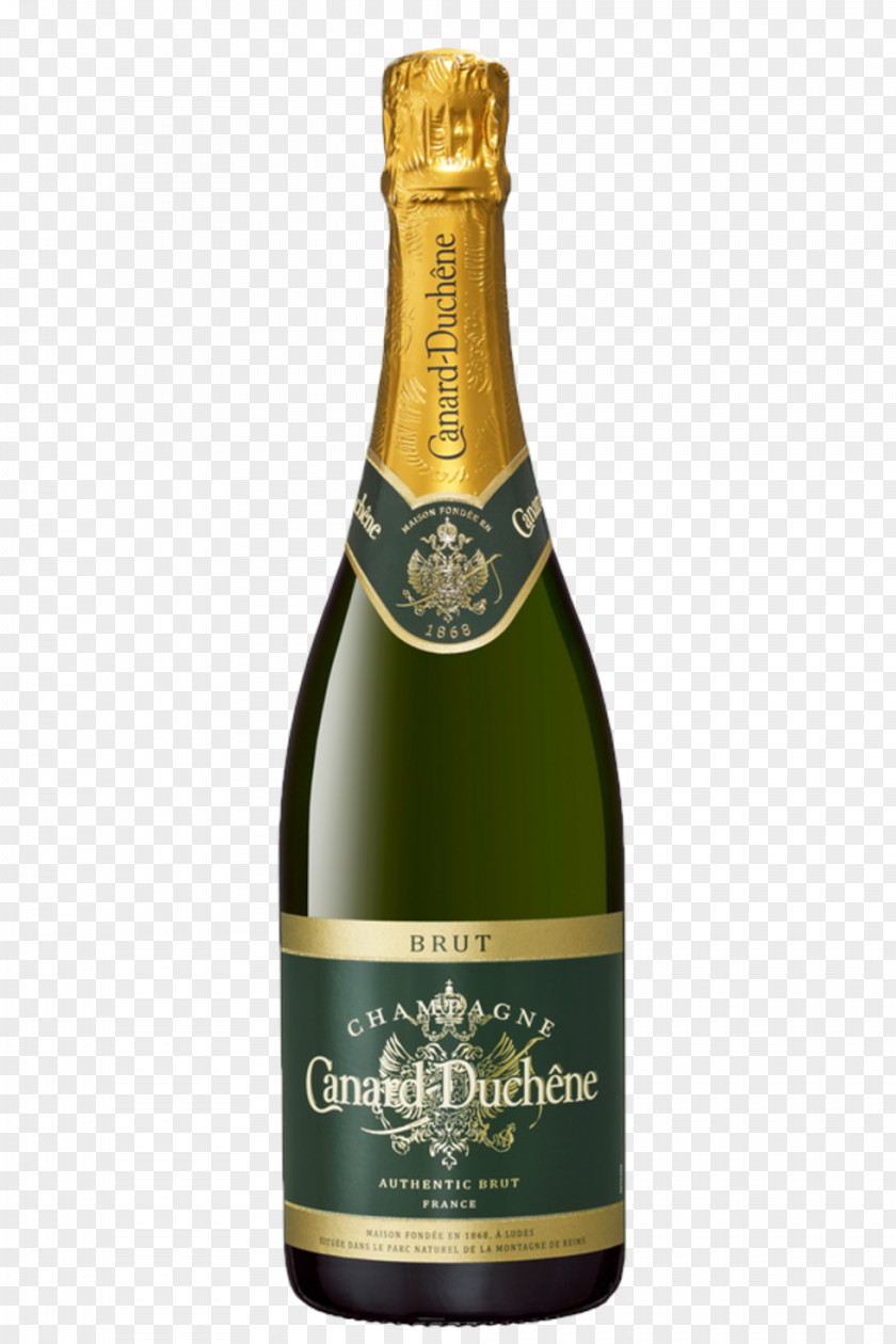 Champagne Prosecco Burgundy Wine Sparkling PNG