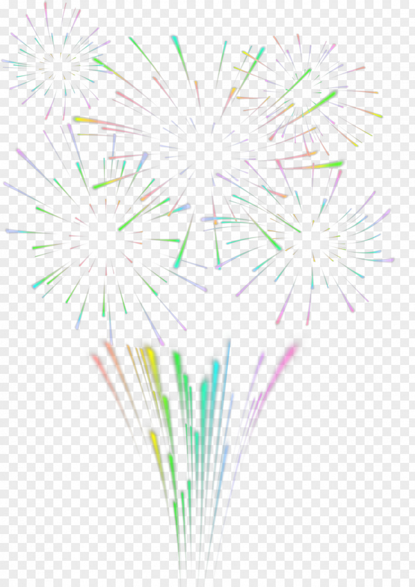 Fireworks Graphic Design Petal Pattern PNG