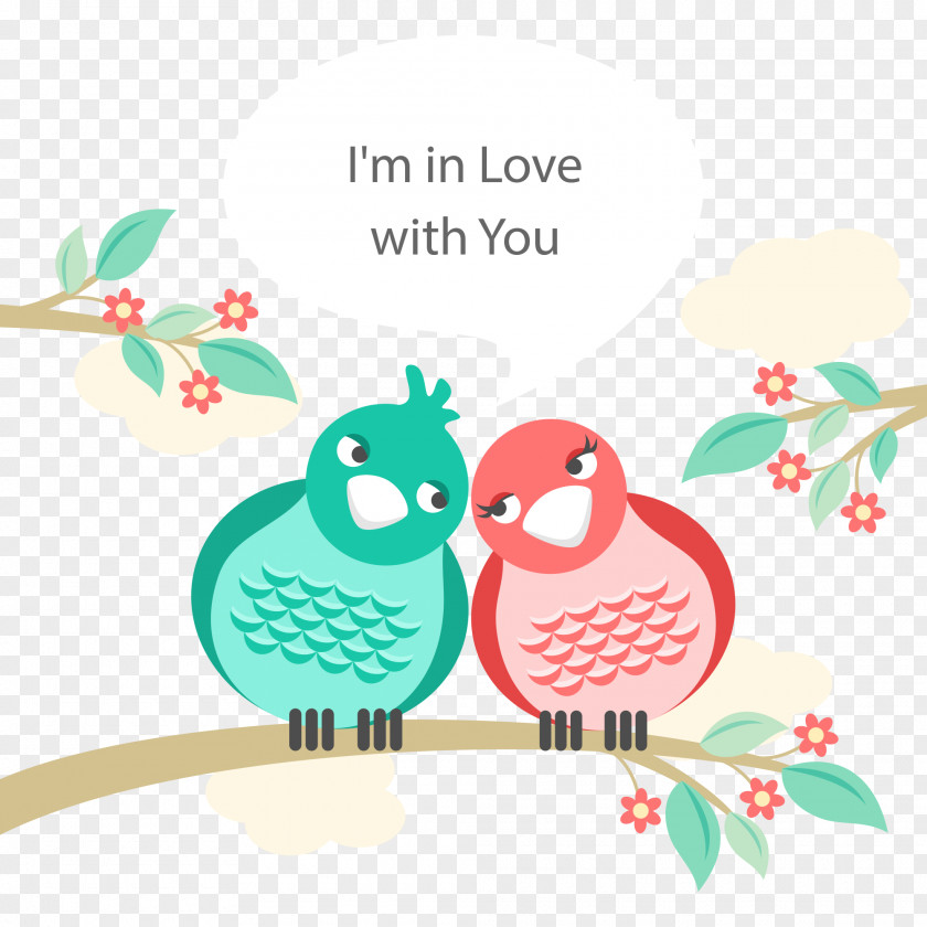 Love Illustration Lovebird PNG