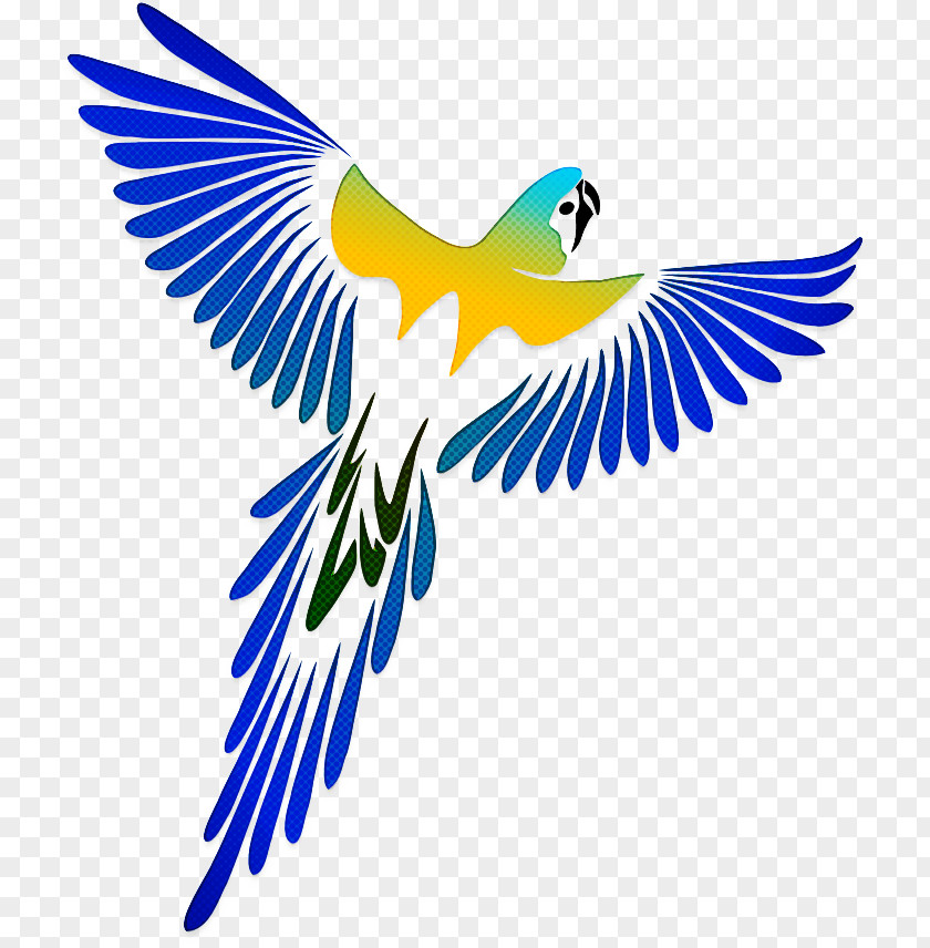 Lovebird PNG