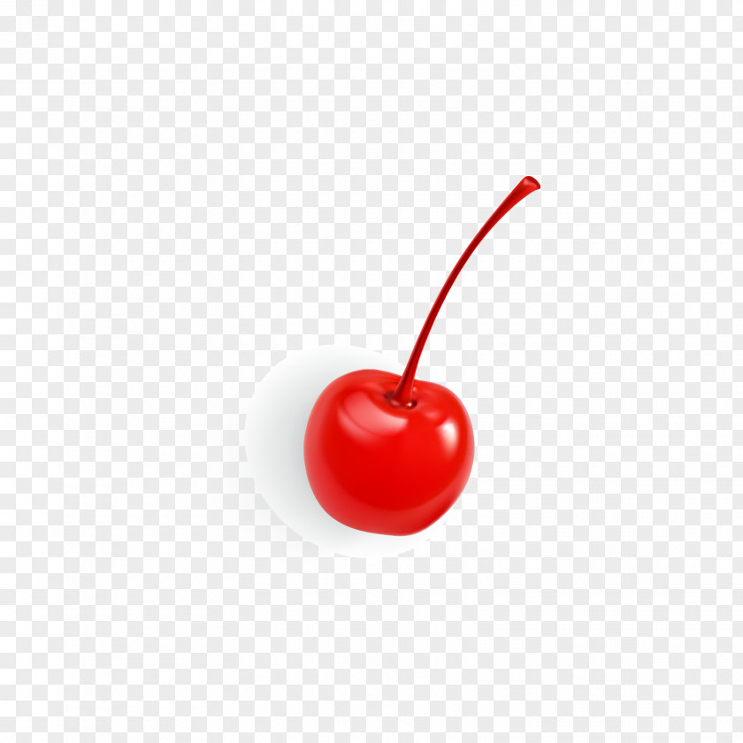 Red Cherry Cerise PNG