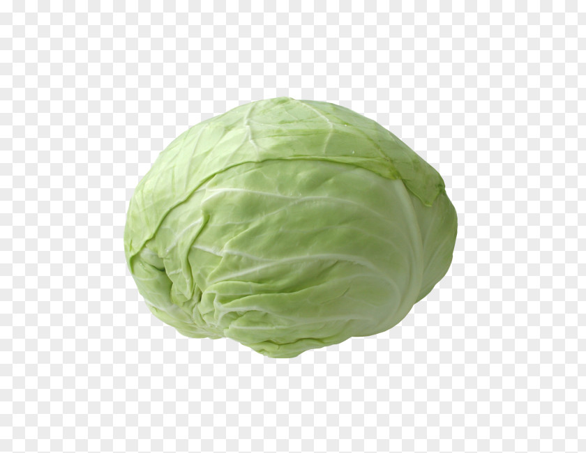 Cabbage Red Leaf Vegetable Chinese PNG
