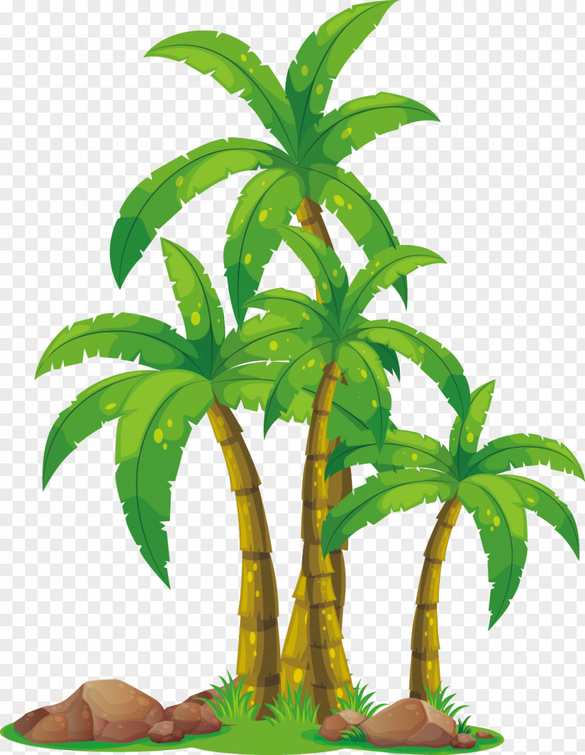 Coconut Grove Download Arecaceae Euclidean Vector Clip Art PNG