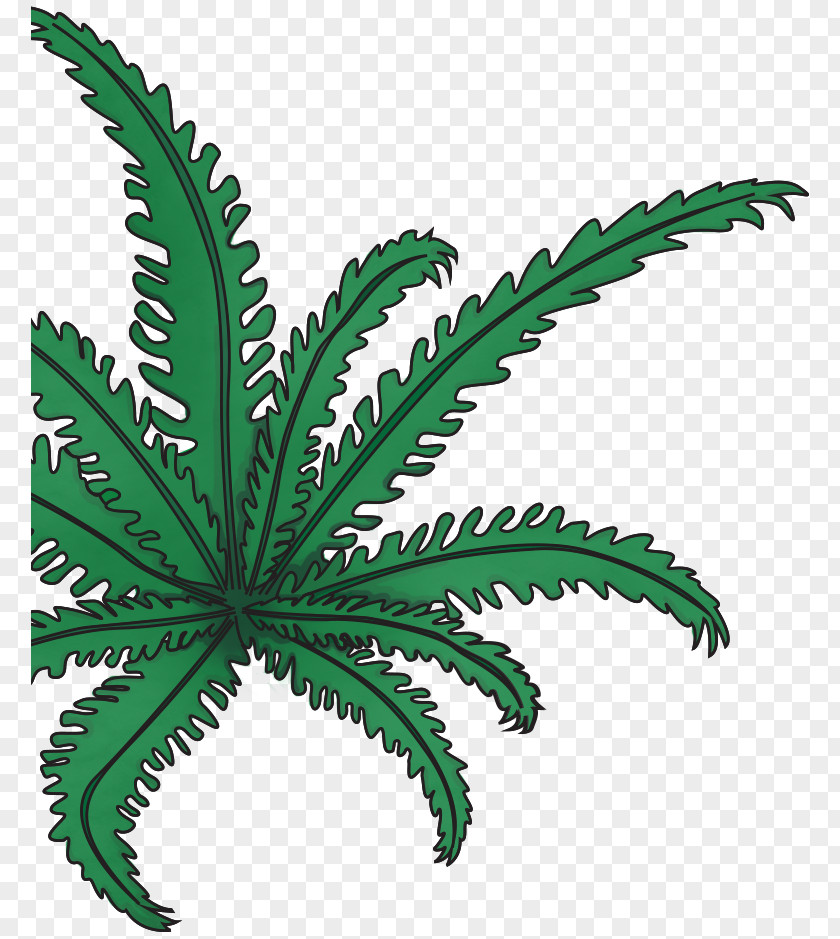 Leaf Plant Stem Hemp Flowerpot Cannabis PNG
