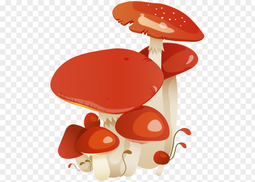 Mushroom Common Blog Fungus Clip Art PNG