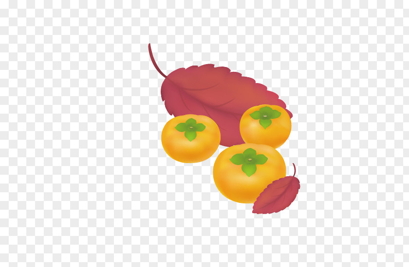 Persimmon Japanese Fruit PNG