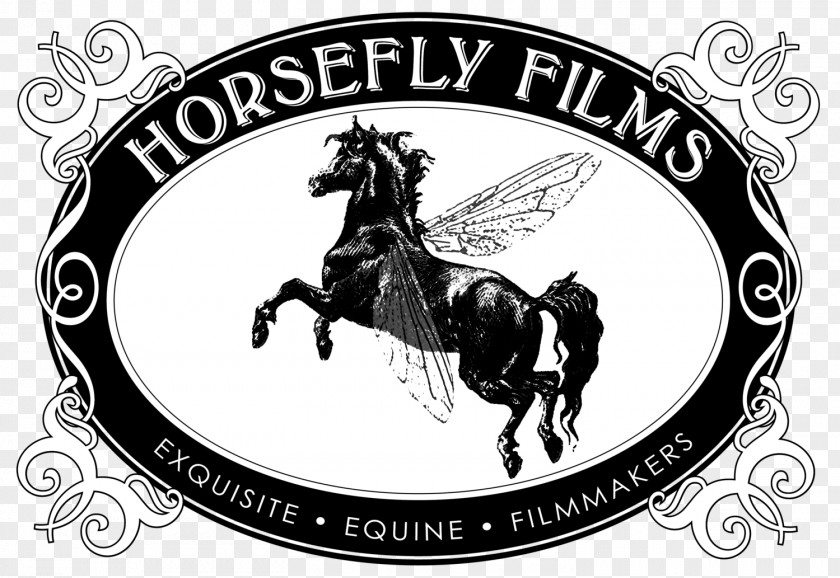 Scottsdale Arabian Horse Show Camarillo White EQUUS Film Festival Director PNG