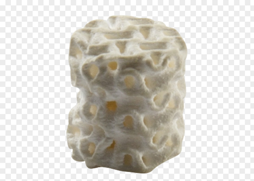 Bone Material Ceramic 3D Printing Manufacturing Hydroxylapatite PNG