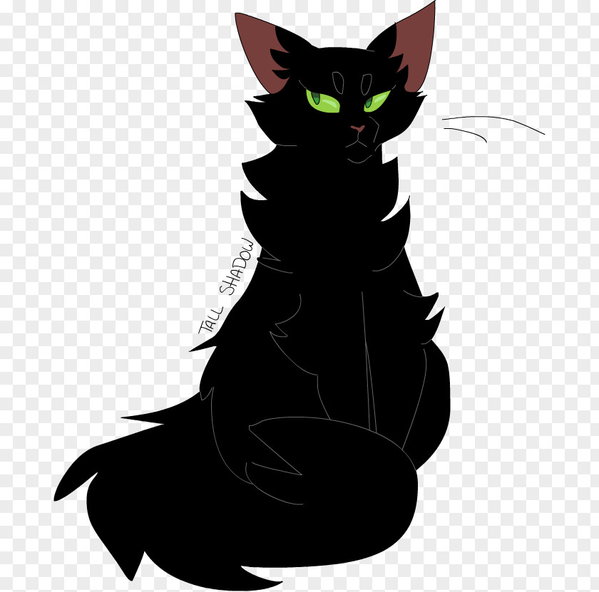 Cat Domestic Short-haired Whiskers Warriors Shadowstar PNG
