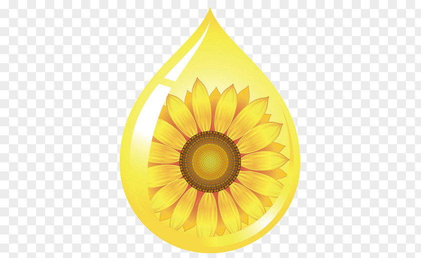 Creative Sunflower Oil Common Seed PNG