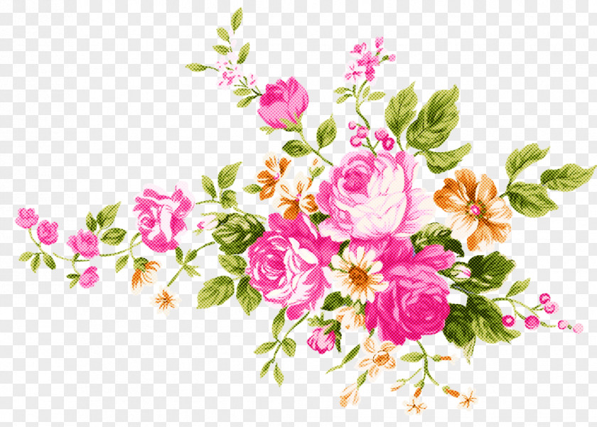Flowering Plant Prickly Rose Floral Design PNG