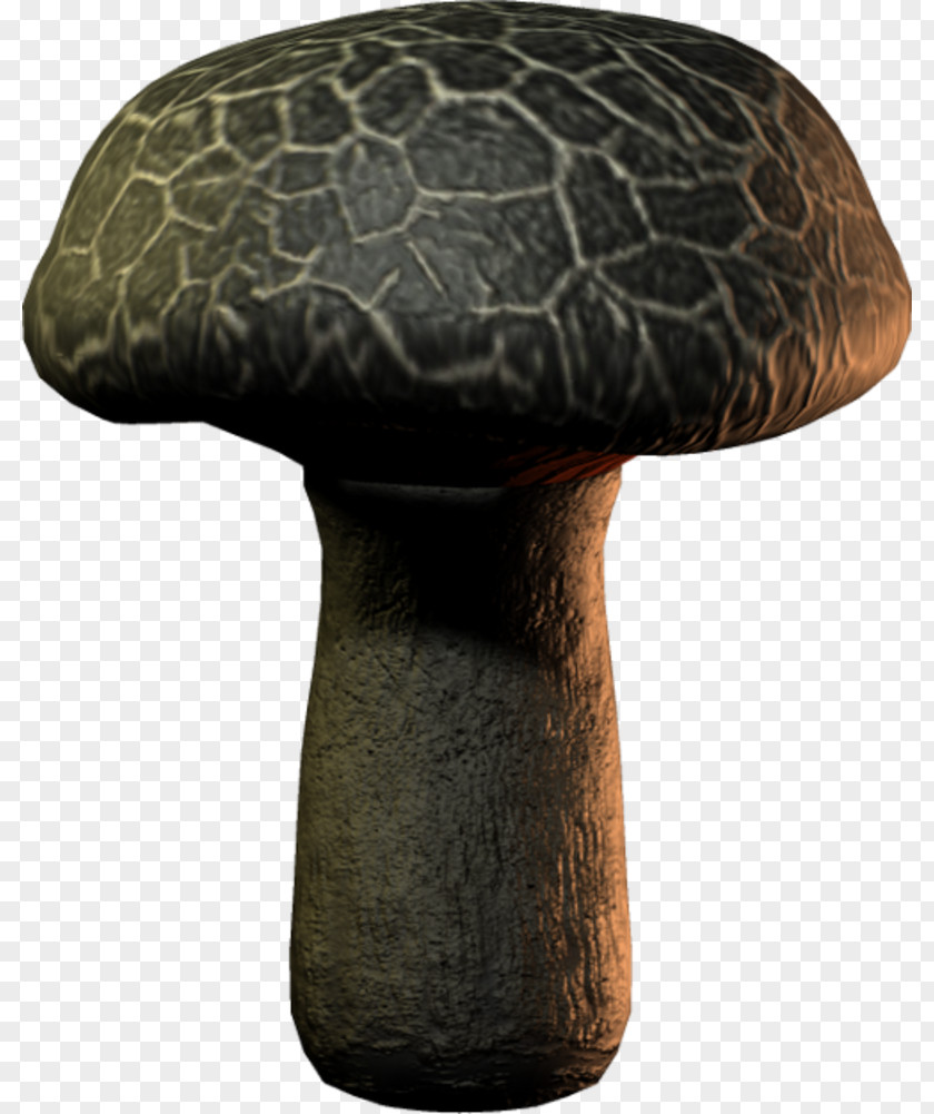 Funghi Digital Image Mushrooms Clip Art PNG