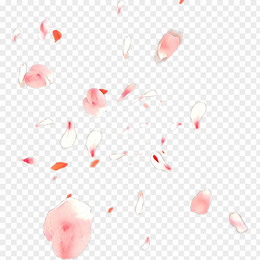 Petal Pink White Heart PNG