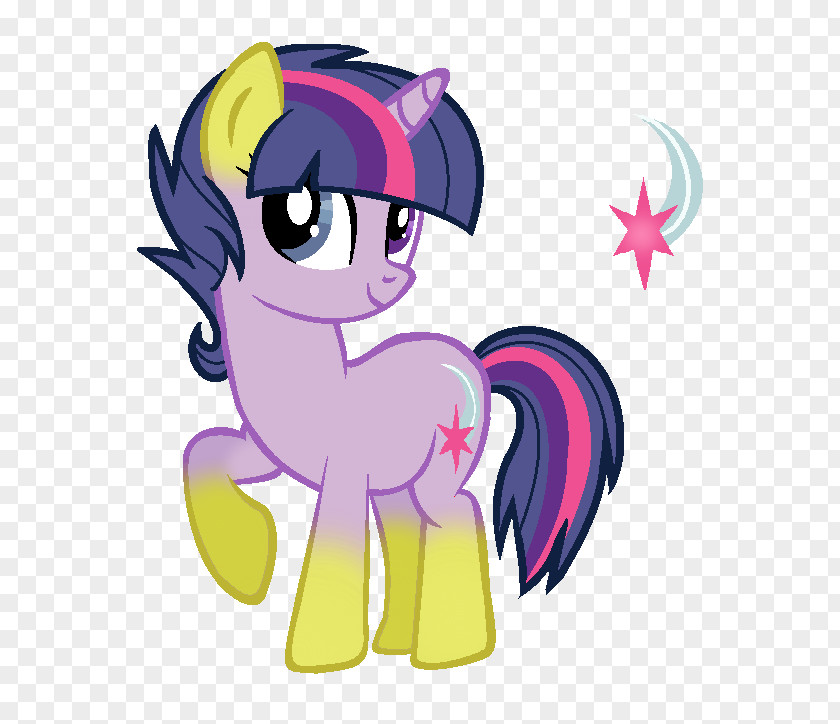 Tuaylayt Art The Twilight Saga Horse PNG