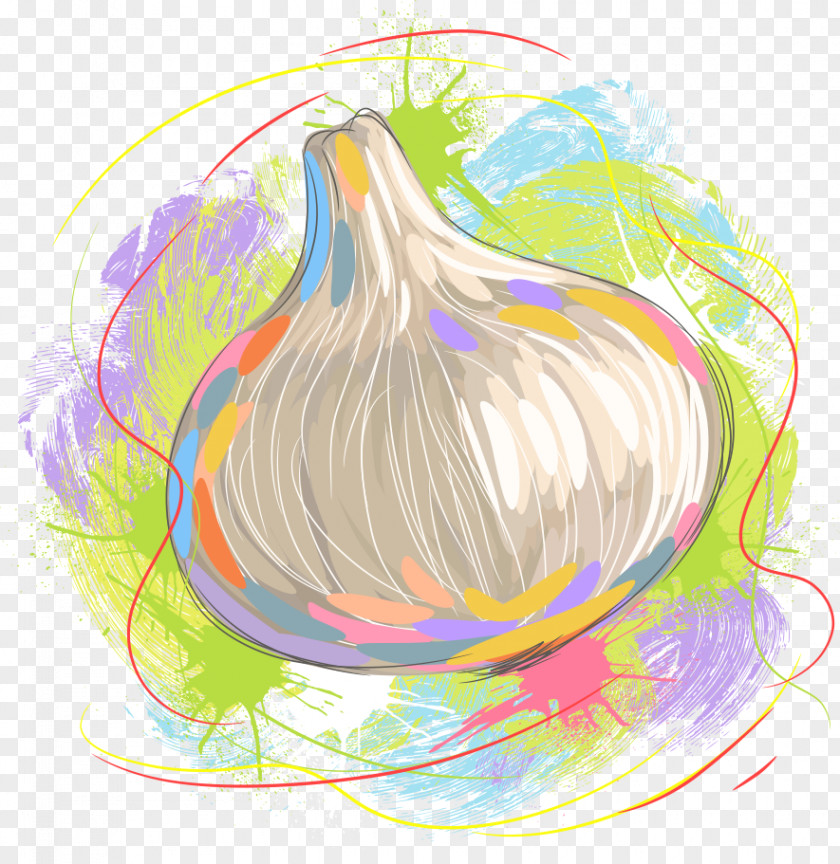 Vector Painted Garlic Vegetable Illustration PNG
