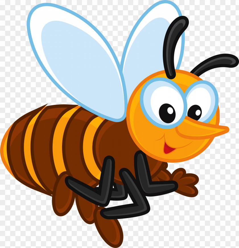 Bee Western Honey Insect Pollinator Clip Art PNG