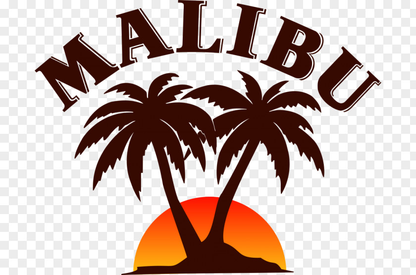 Coconut Malibu Liqueurs Rum Liquor Whiskey PNG
