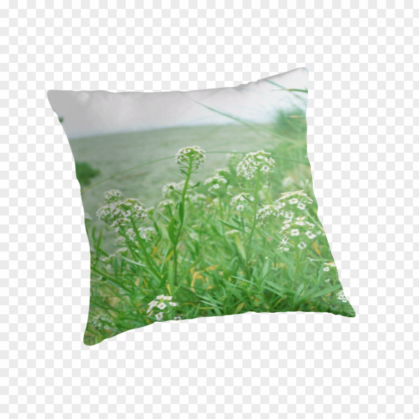 Greenery Throw Pillows Cushion Plant PNG