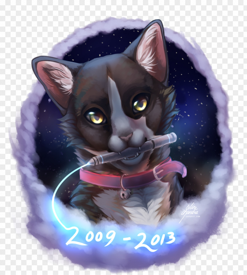 Paint Smudge Korat Kitten Whiskers Animal Carnivora PNG