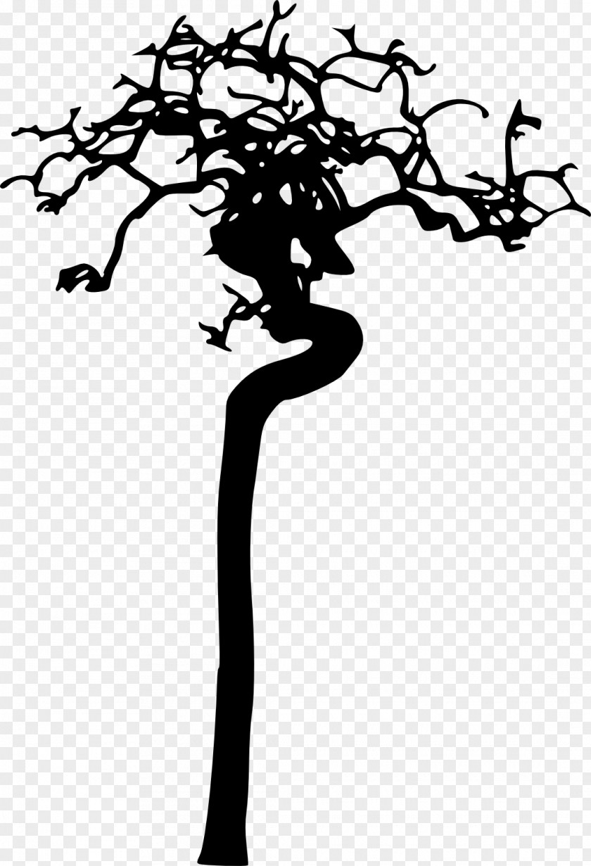 Tree Silhouette Photography PNG