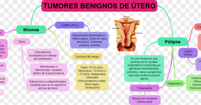 Utero Uterus Uterine Fibroid Myoma Benign Tumor Polyp PNG