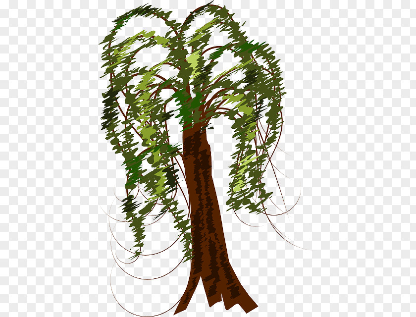 Black Willow Tree Clip Art Trunk Branch Vector Graphics PNG