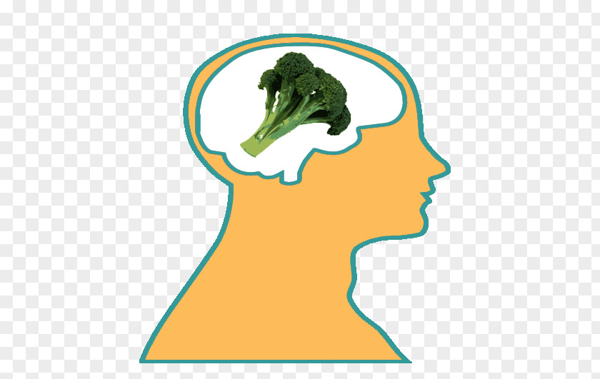 Broccoli Cartoon Silhouette Douchegordijn Clip Art PNG