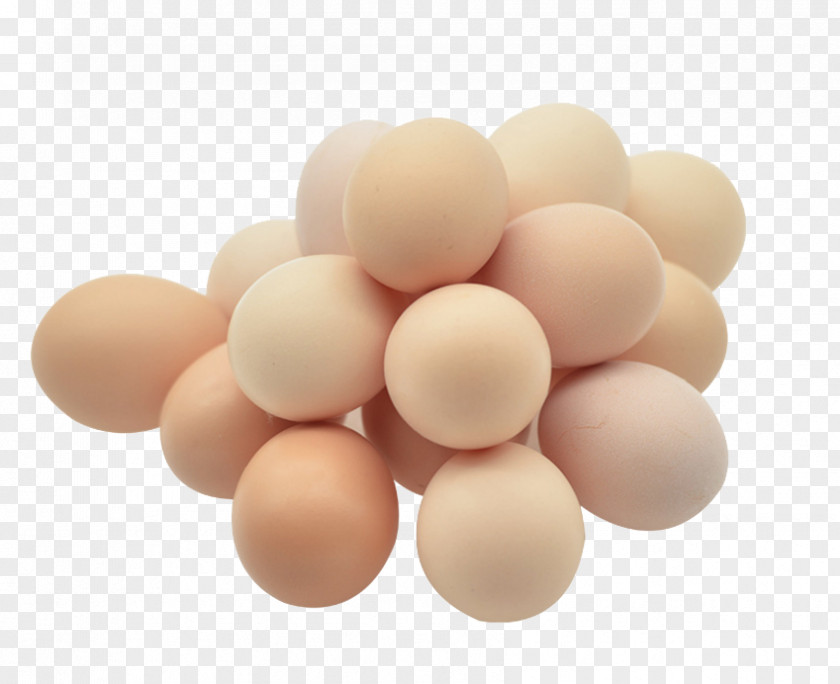 Egg Material Chicken White PNG