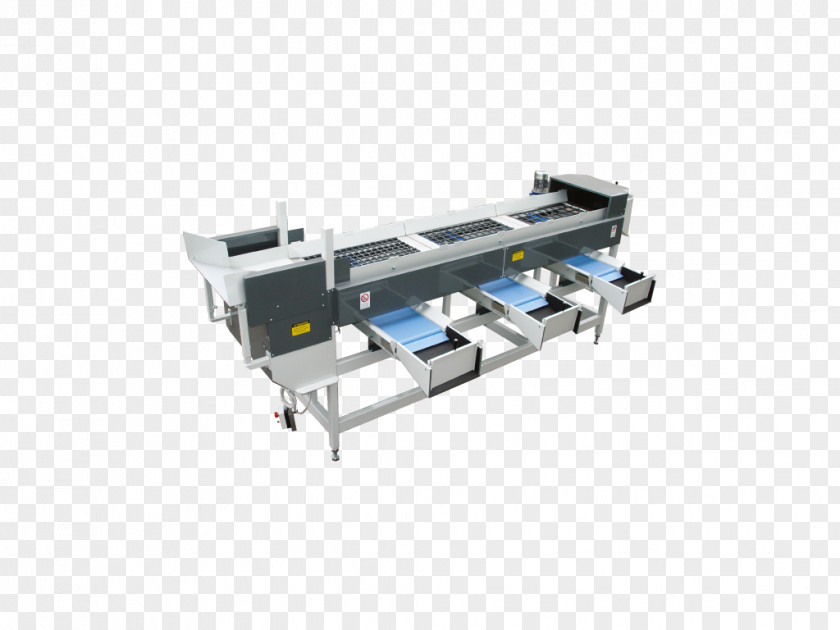 Fruit Logistica Machine Material-handling Equipment Conveyor System Manufacturing Material Handling PNG