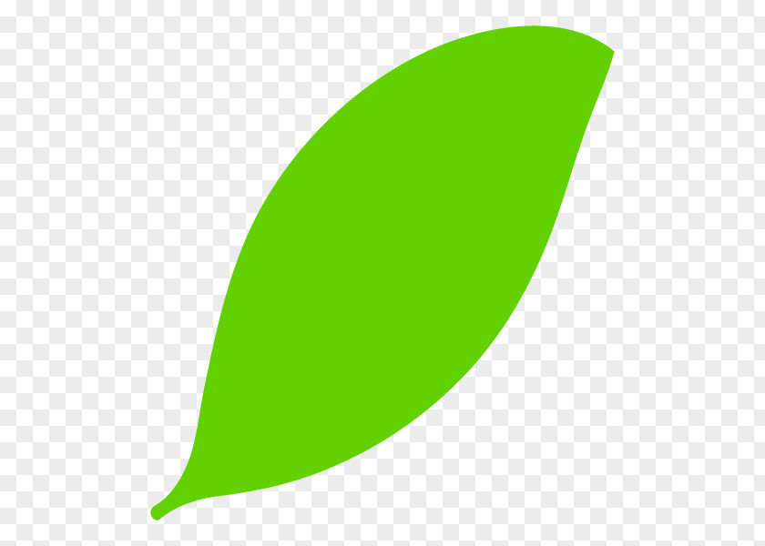 Leaf Graphics Product Design Line PNG