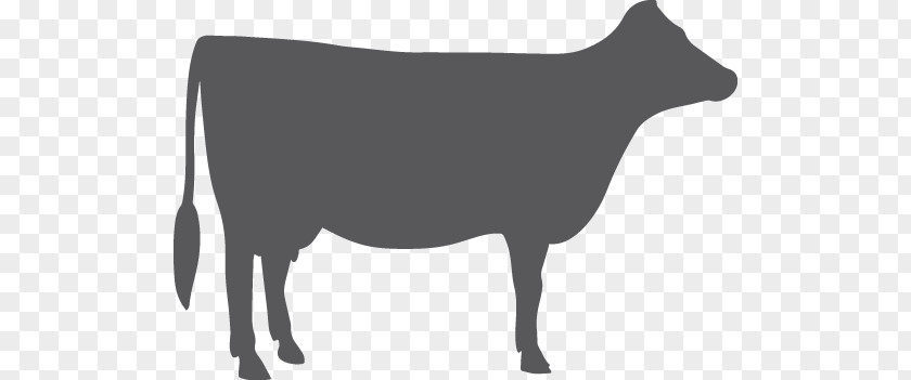 Milk Dairy Cattle Calf Goat Beef PNG