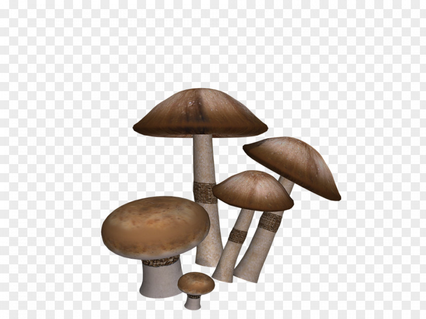 Mushroom Edible Eating Clip Art PNG